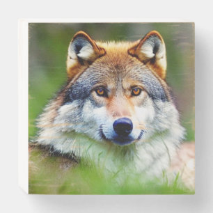 Beautiful Wolf head Painting Wooden Box Sign