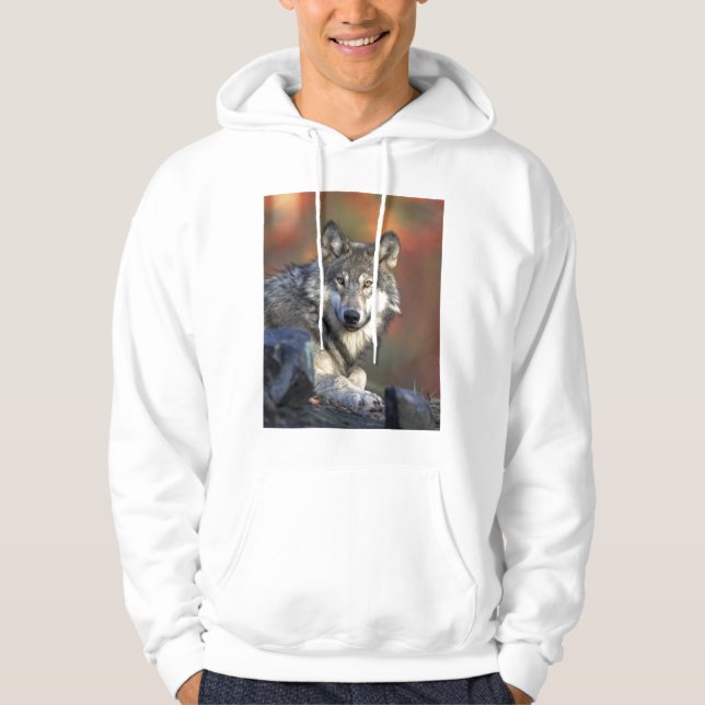 Beautiful Wolf Hoodie (Front)