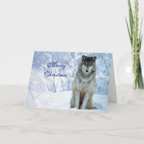 Beautiful wolf in snow photo custom christmas card