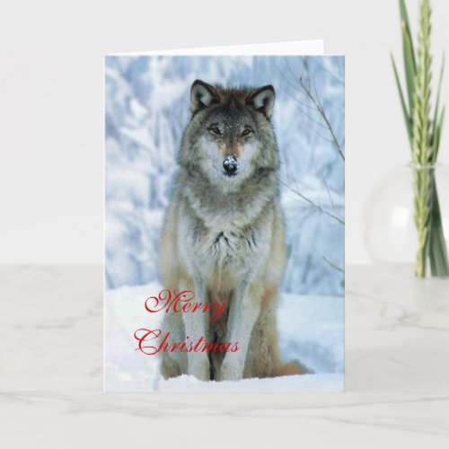 Beautiful wolf in snow photo custom christmas card