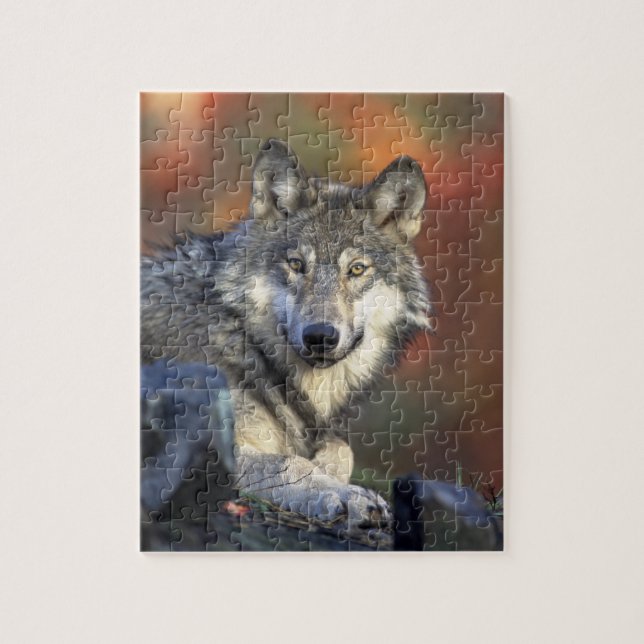 Beautiful Wolf Jigsaw Puzzle (Vertical)