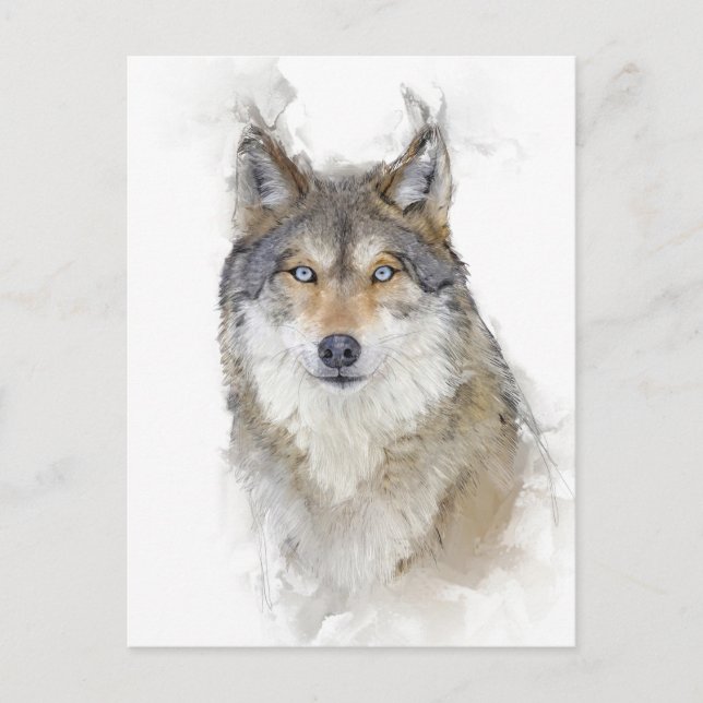 Beautiful Wolf Portrait Postcard (Front)