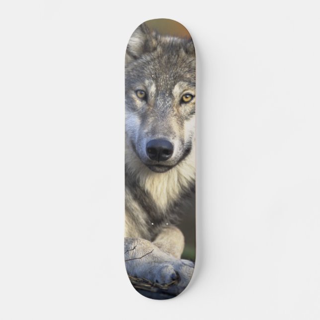 Beautiful Wolf Skateboard Deck (Front)