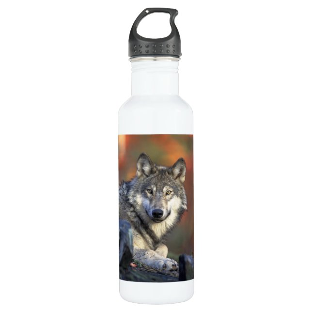 Beautiful Wolf Water Bottle (Front)