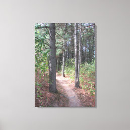 Beautiful Wooded Trail Photograph Wall Art