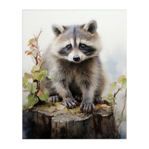 Beautiful Woodland Animals Raccoon Portrait  Acrylic Print