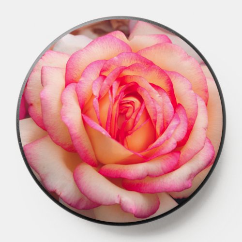 Beautiful Yellow and Pink Rose PopSocket