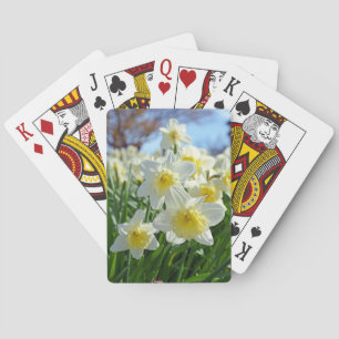 Beautiful yellow and white daffodils garden poker cards