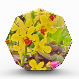 Beautiful Yellow autumn orchids Acrylic Award
