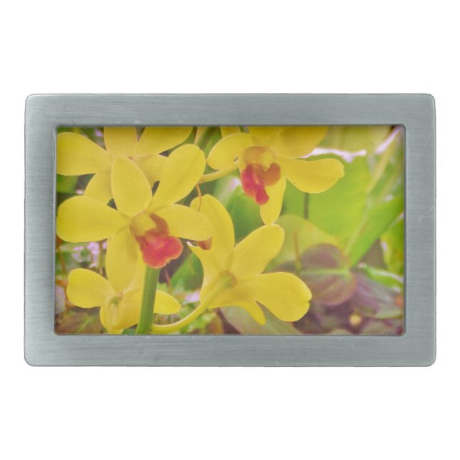 Beautiful Yellow autumn orchids Belt Buckle (Front)