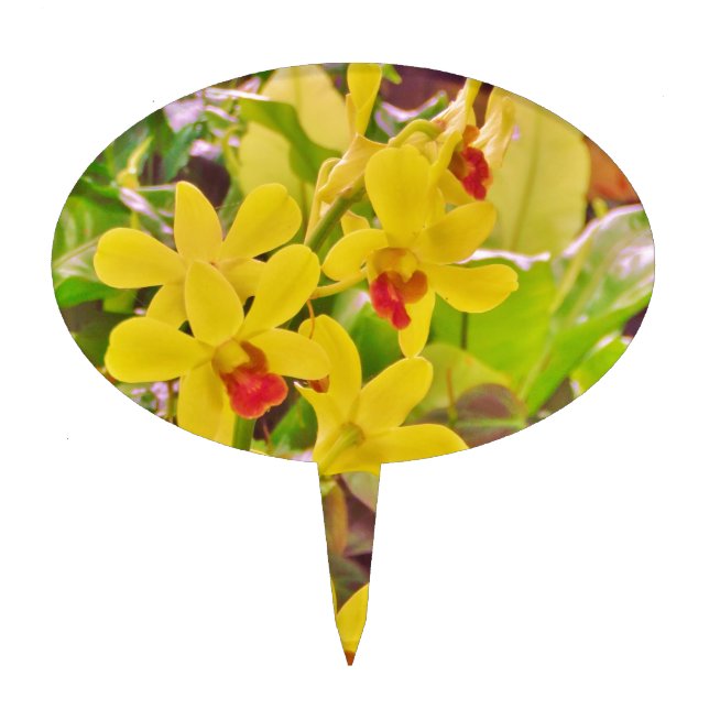 Beautiful Yellow autumn orchids Cake Topper (Front)