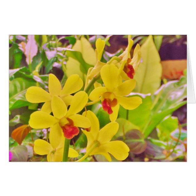 Beautiful Yellow autumn orchids Cards (Front Horizontal)