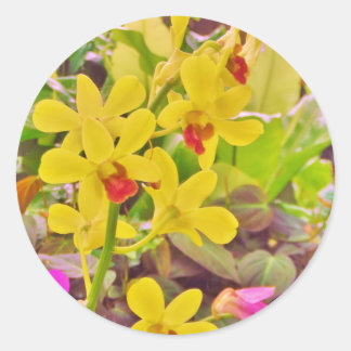 Beautiful Yellow autumn orchids Classic Round Sticker