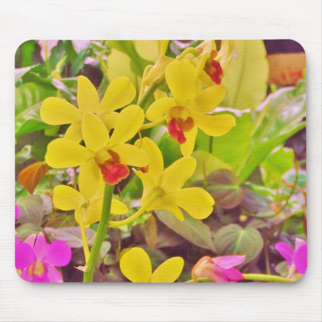 Beautiful Yellow autumn orchids Mouse Pad (Front)