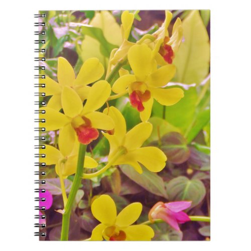 Beautiful Yellow autumn orchids Notebook