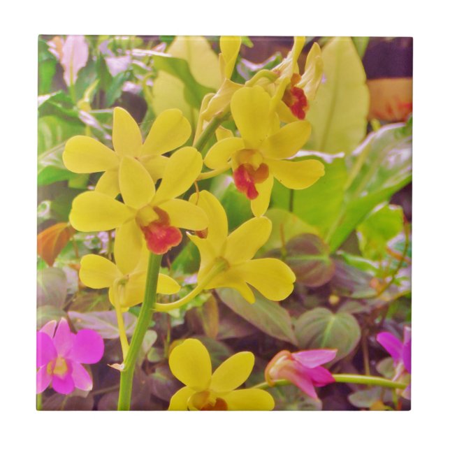 Beautiful Yellow autumn orchids Tile (Front)