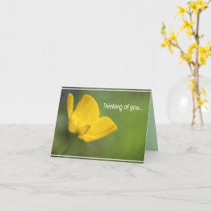 Beautiful Yellow Buttercup floral nature Card