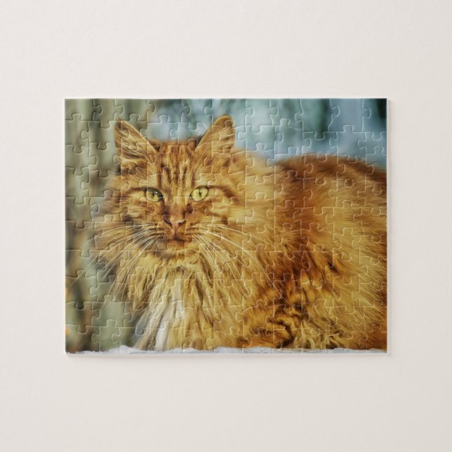 Beautiful Yellow Cat Jigsaw Puzzle (Horizontal)