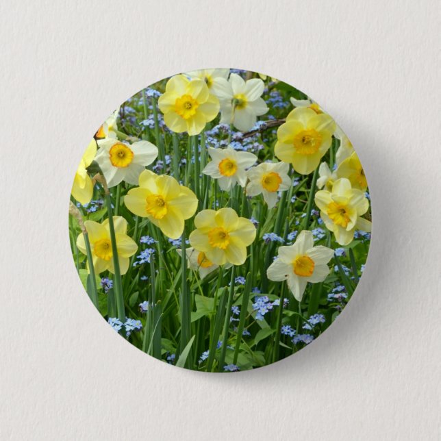 Beautiful yellow daffodil garden button (Front)