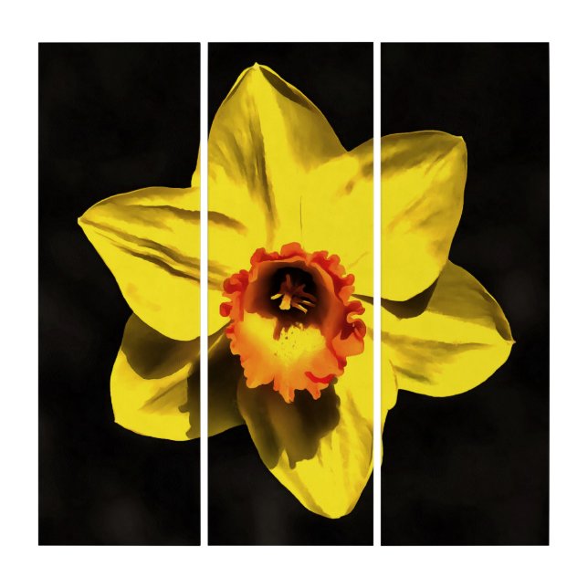 Beautiful Yellow Daffodil Spring Flower On Grey Triptych (Front)