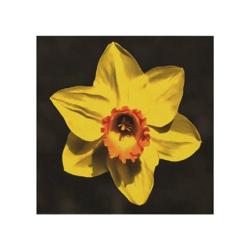 Beautiful Yellow Daffodil Spring Flower On Grey Wood Wall Art