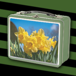 Beautiful Yellow Daffodils Metal Lunch Box