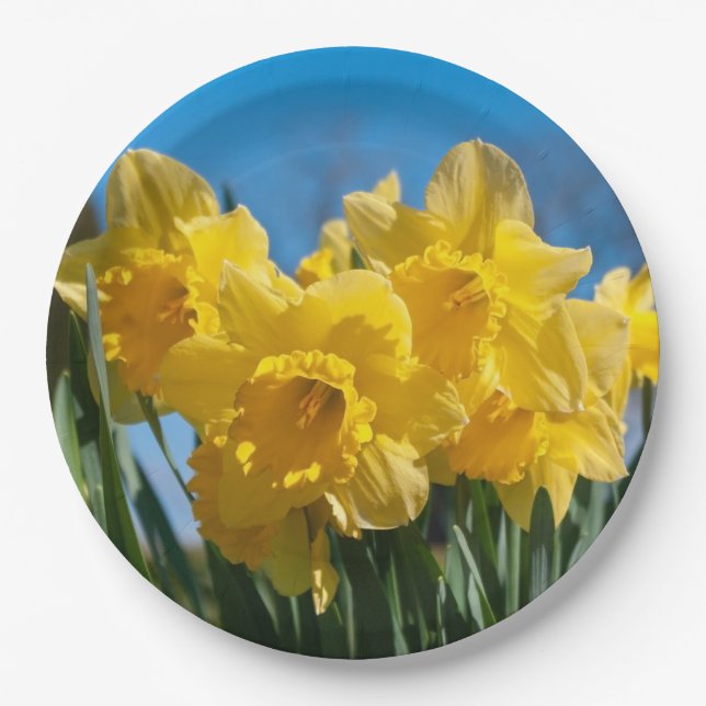 Beautiful Yellow Daffodils Paper Plates (Front)