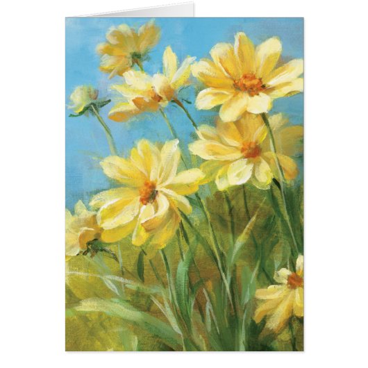 Beautiful Yellow Daisies (Front)