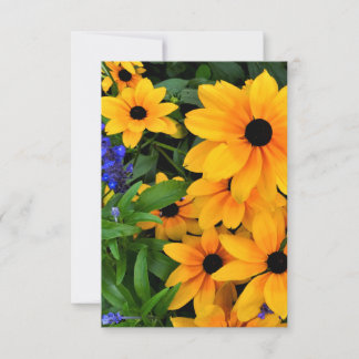 Beautiful Yellow Daisy Photo Card