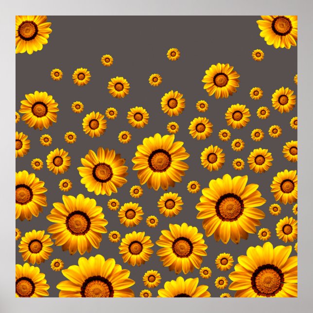 Beautiful yellow flowers on gray background  poster (Front)