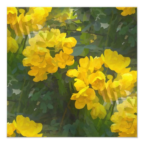 Beautiful yellow flowers photo print