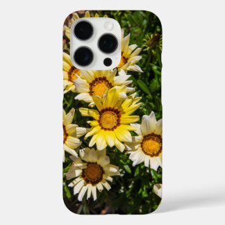 Beautiful yellow Gazania flowers in the garden iPhone 16 Pro Case
