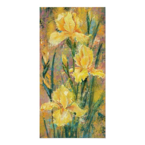 Beautiful Yellow Iris Flowers _ Original Painting  Poster