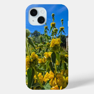 beautiful yellow Jerusalem sage flowers iPhone 15 Case