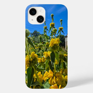 beautiful yellow Jerusalem sage flowers Case-Mate iPhone 14 Case