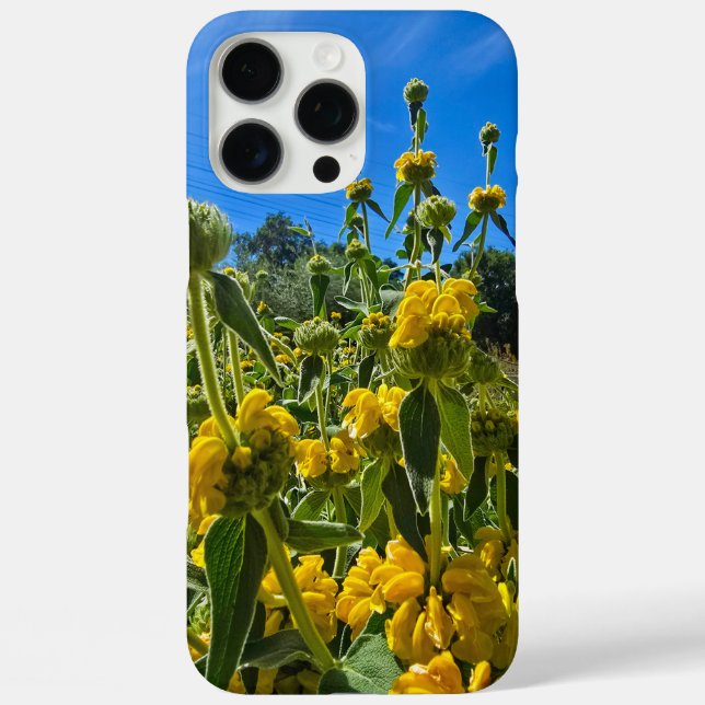 beautiful yellow Jerusalem sage flowers Case-Mate iPhone Case (Back)