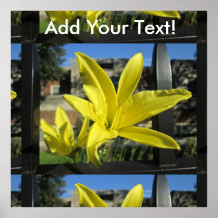 Beautiful Yellow Lily Poster