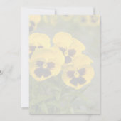 Beautiful yellow Pansies (Back)
