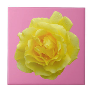 Beautiful yellow rose ceramic tile