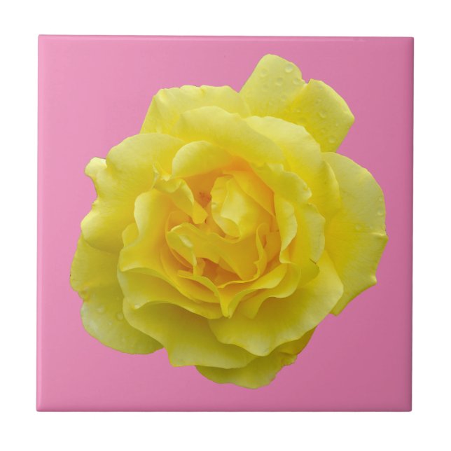Beautiful yellow rose ceramic tile (Front)