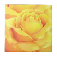 Yellow Rose - outlet Ceramic Tile