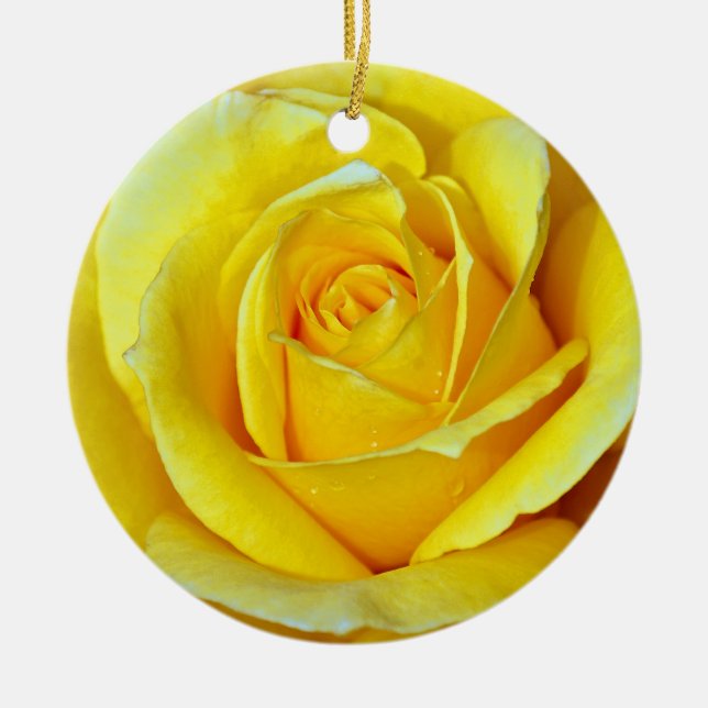Beautiful yellow rose christmas ornament (Front)