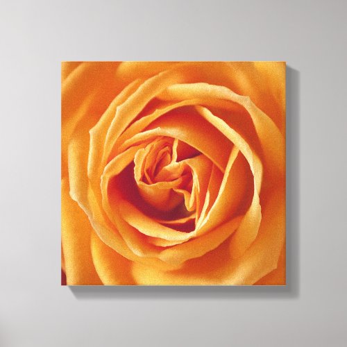 Beautiful Yellow Rose Flower Floral Canvas Print