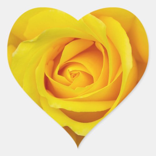 Beautiful Yellow Rose Heart Sticker