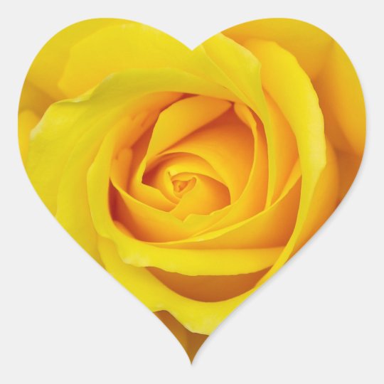 Beautiful Yellow Rose Heart Sticker | Zazzle.com