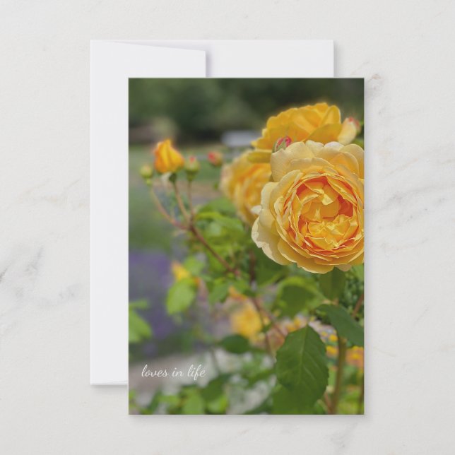 Beautiful Yellow Rose Note Card (Front)
