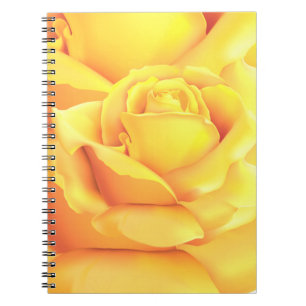 Beautiful Yellow Rose Notebook