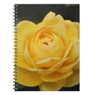 Beautiful Yellow Rose Notebook