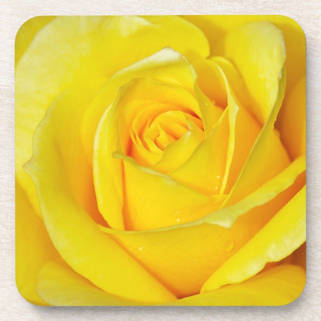 Beautiful yellow rose petals beverage coaster (Front)