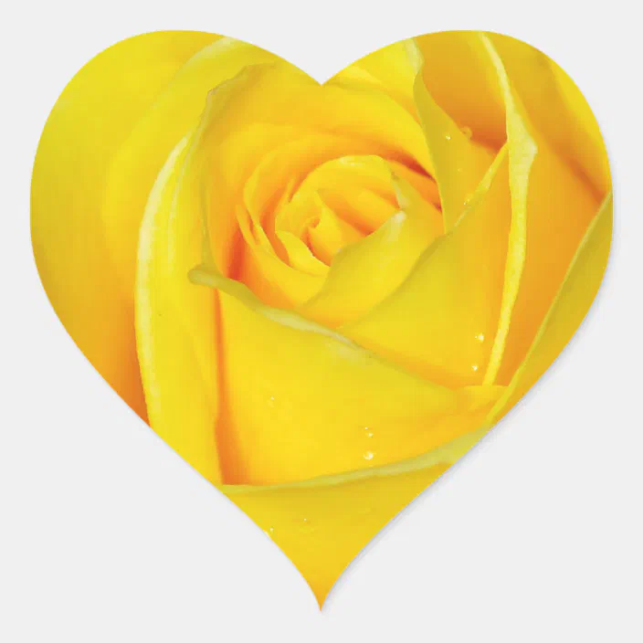 Download Beautiful Yellow Rose Petals Heart Sticker Zazzle Com